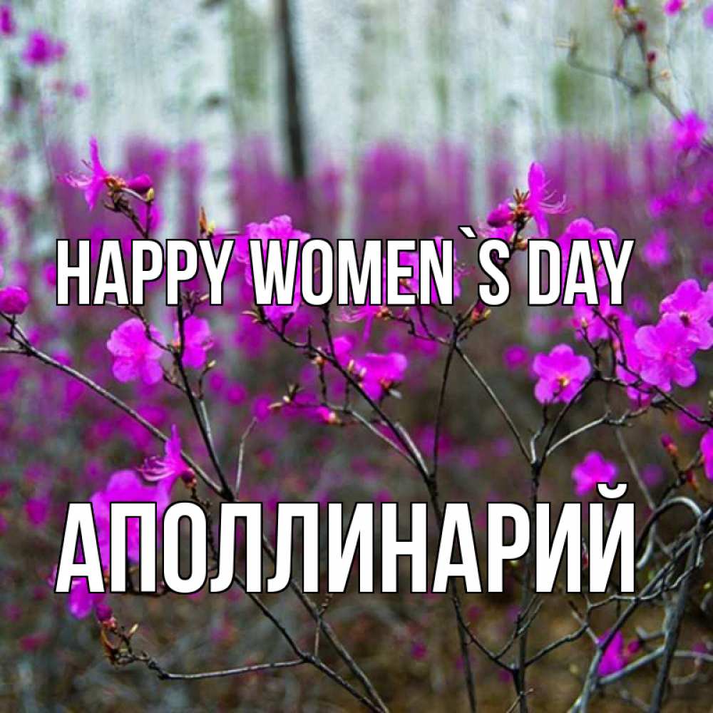 Greetings card с именем, Аполлинарий happy women`s day дикие цветы Greetings with text for free download 